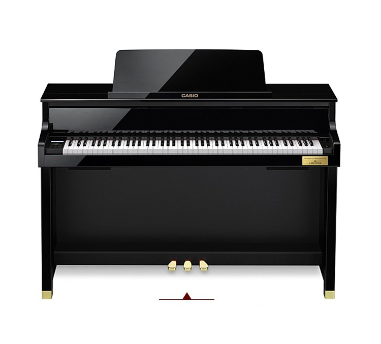 Casio GP-500 Digital Piano Nameplate