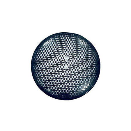 Perforated stainless steel High End Speaker Grille